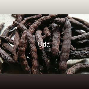 Uda